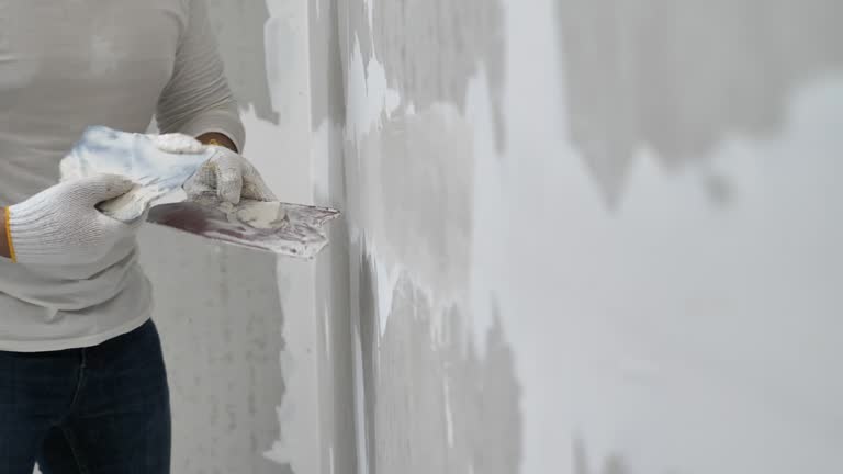 Best Fire-Damaged Drywall Repair  in Lyons, IL